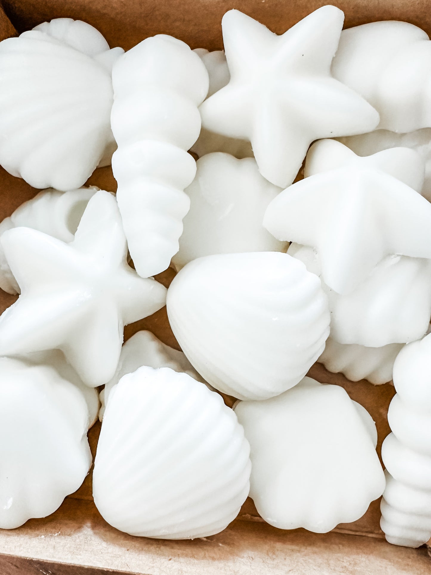 Sea Shell Wax Melts